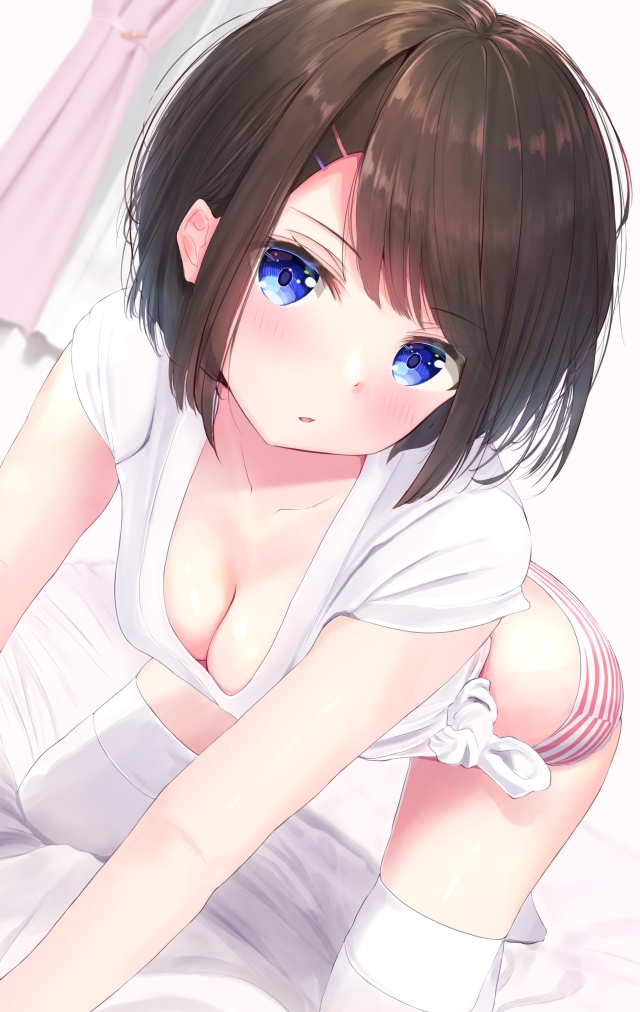 縞パン×二次元女子とかいう人類の到達点【画像まとめ】