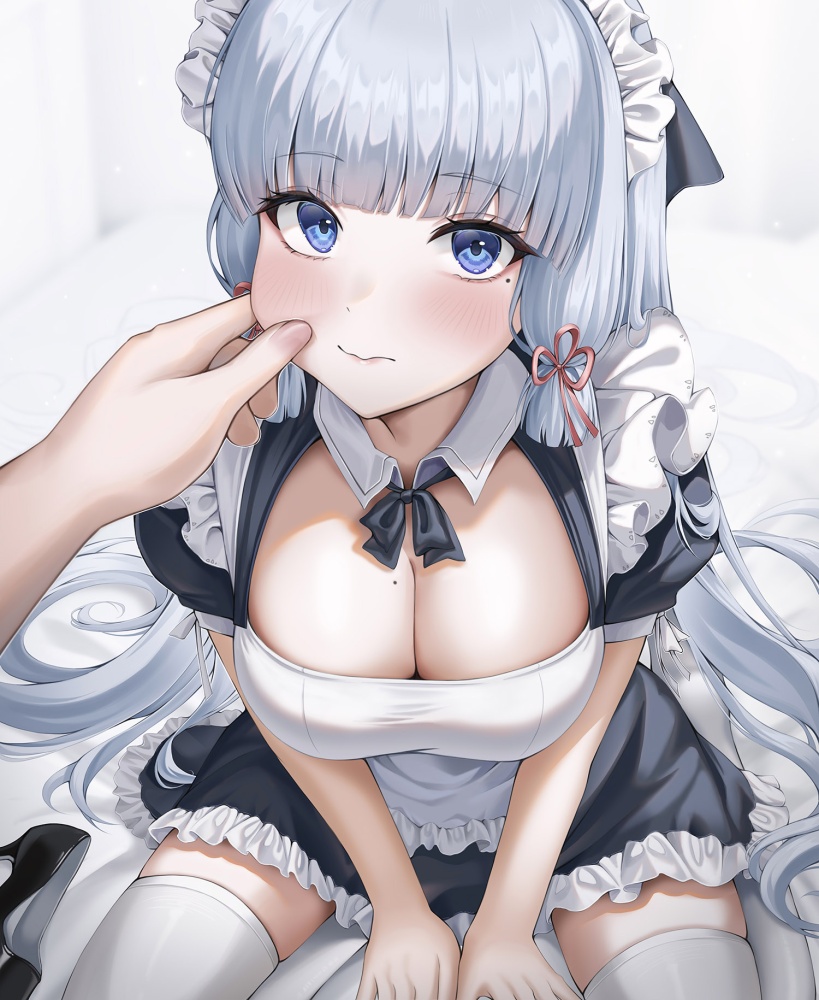 【二次】メイド服ってなんでこんなにそそるんだ？【画像】